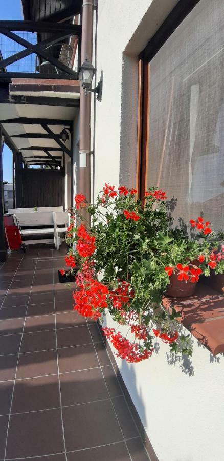 Apartamenty Kalinowa Rowy  Extérieur photo